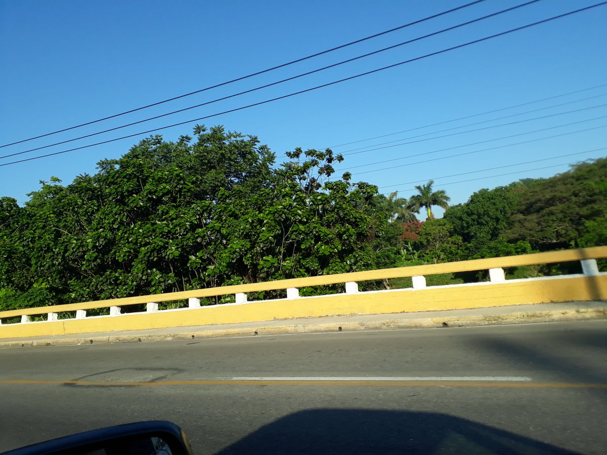 MaraAlexis6's tweet photo. Aunque el sol está radiante en la capital cubana,dos fenómenos acechan uno sanitario (la covid -19) y otro meteorológico (el huracán Elsa) adoptar medidas ante cada situación es la prioridad.huracan Elsa @radiotainofm @Reinierv6 @IndyRadioTaino @munoz_yaimara @NelsonWuilmer . https://t.co/aWBLI7p9Oi