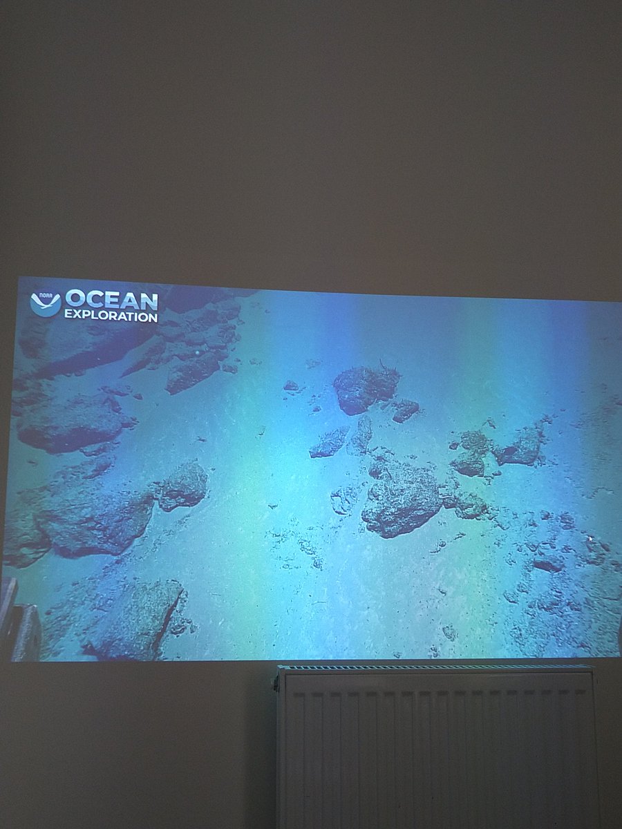 Quite excited to follow live the stream of NOAA Okeanos expedition, fantastic opportunity to have a look at these rocks from the north Atlantic. Will carry on for the next 3 weeks or so.
