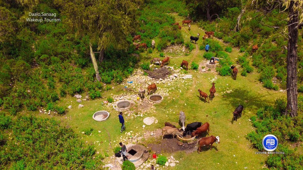 mubarigmario's tweet photo. Bilicda Buurta Daalo ee gobolka Sanaag ,Somaliland.
Ku dalxiis Dalkaaga.
#wakeuptourism
#Buurtadaalo #Sanaag #Somaliland #daalo #futurebrothers #ceerigaabo https://t.co/jOpRgtkjHW