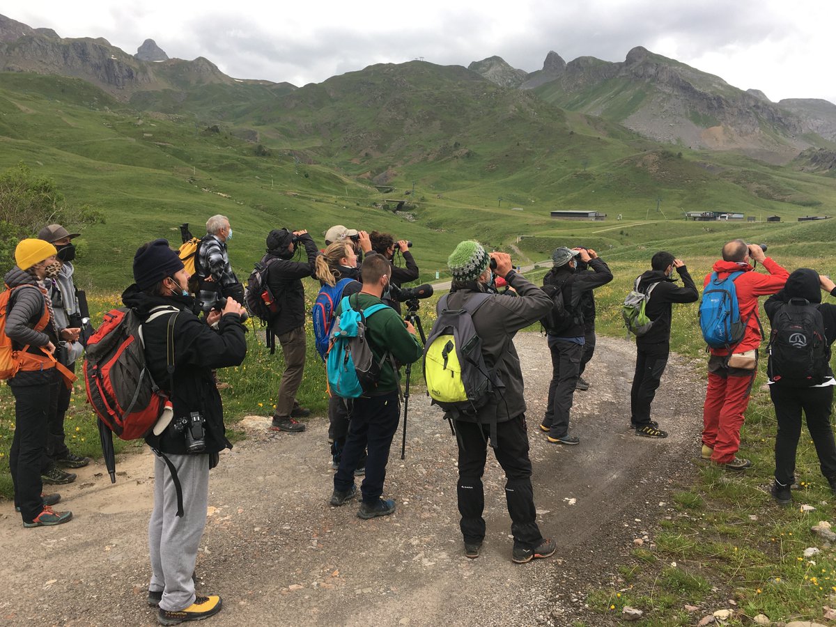 GobAragon's tweet photo. ��️ Casi 400 personas han participado en las actividades organizadas por la Reserva Biosfera Ordesa Viñamala, a través de los proyectos europeos #Faunapyr y #Dusal, en las que se ha puesto en valor la biodiversidad y riqueza patrimonial de este espacio en el corazón del Pirineo. https://t.co/DWLjri2uOL