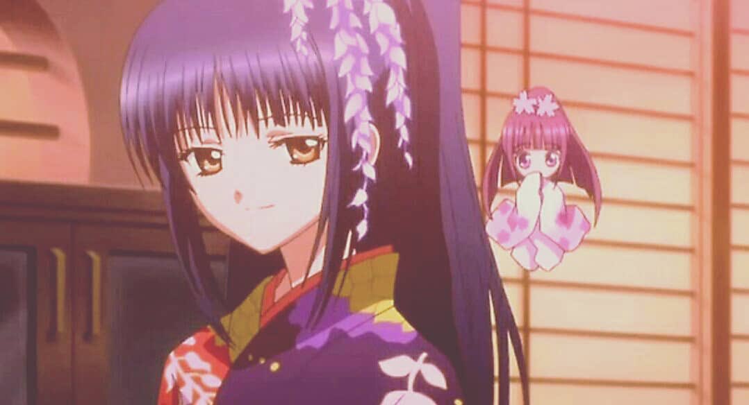 しゅごキャラ 藤咲なぎひこ なでしこ