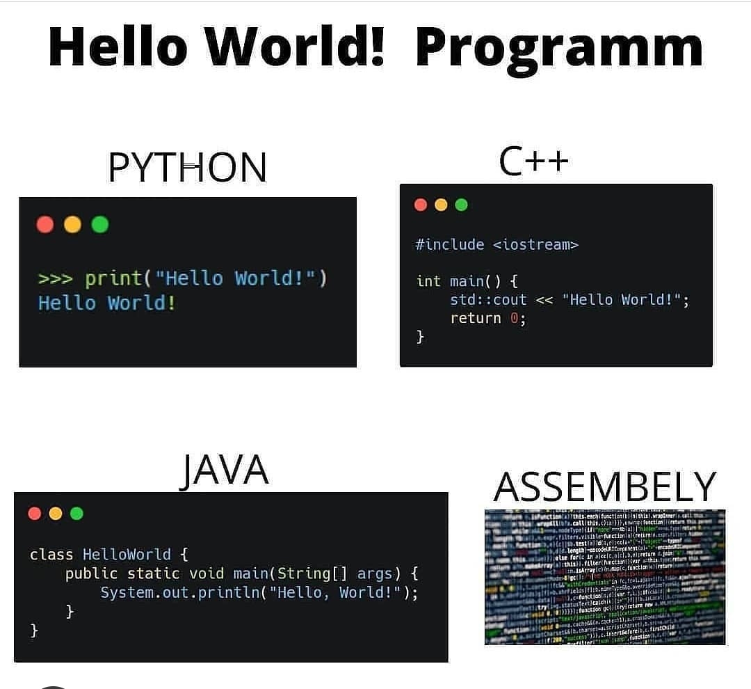 Programmer Humor tweet media
