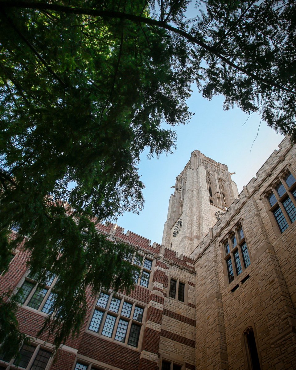 The University of Toledo tweet media