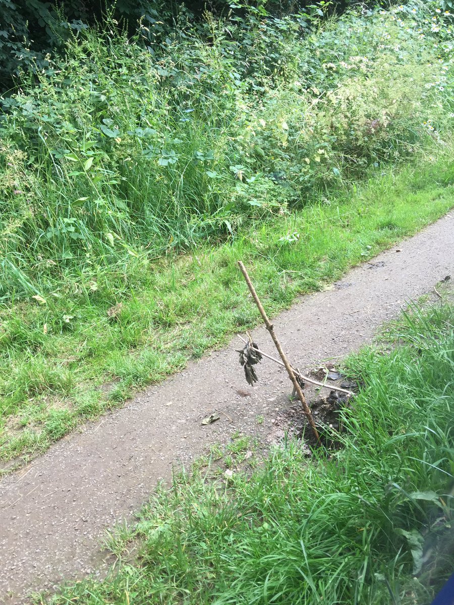 OX3reporting's tweet image. We think this needs urgent fill before someone breaks a leg , just before lock landing of Cropredy lock on southern approaches @CRTContactUs