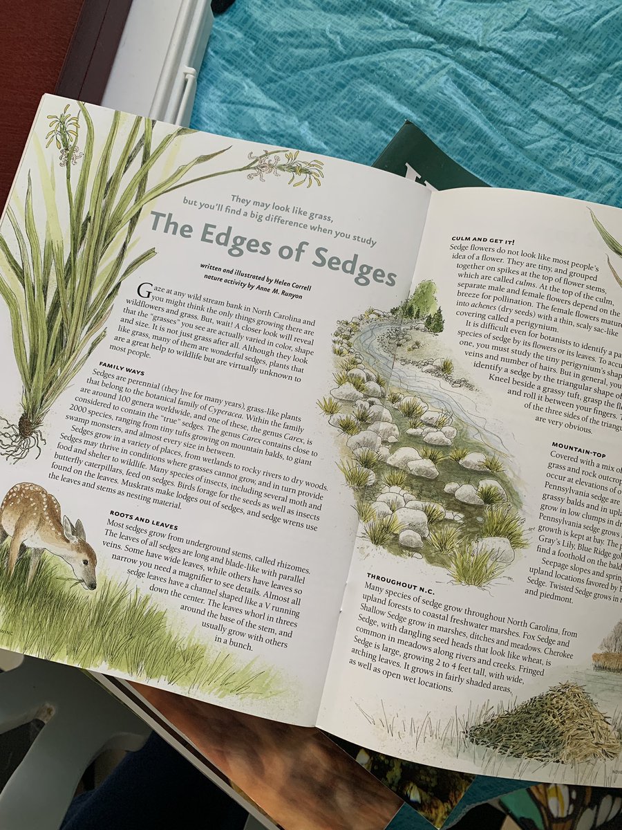 Imagination Station tweet media