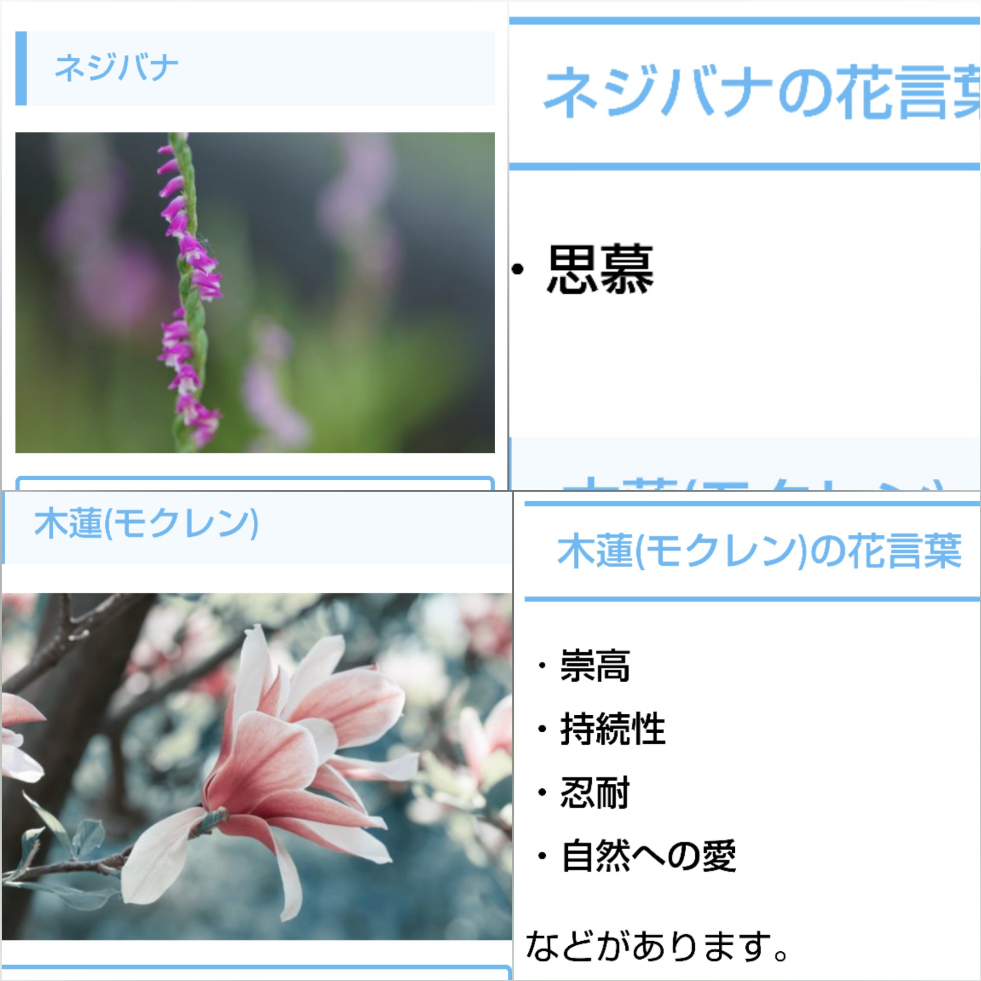 7月4日誕生花 Twitter Search Twitter