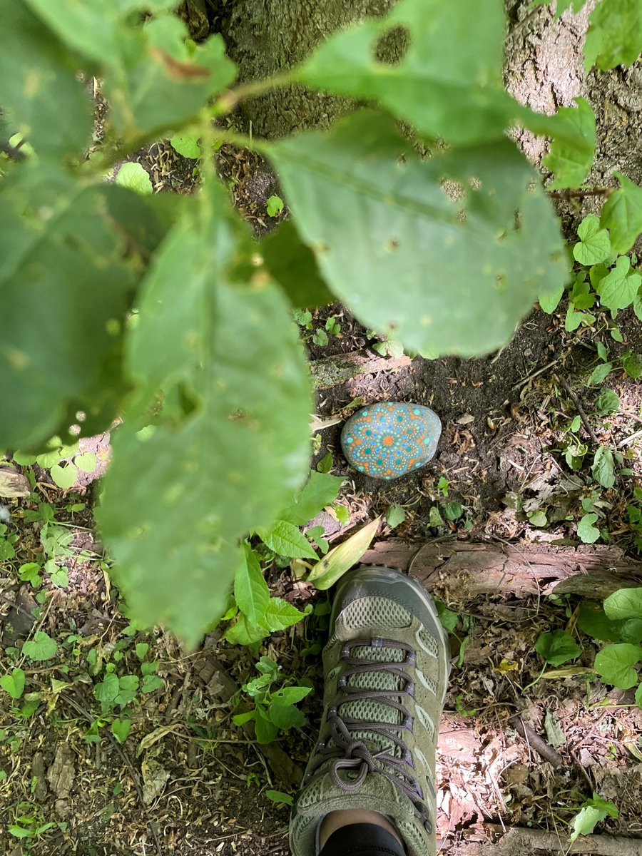 AdventureGuide_'s tweet image. Took a hike with my furry companion at Baden Hills! 🐕🐾 An easy yet amazing hike with @merrelloutside Moab MID Waterproof Footwear. 
.
.
.
#merrellcanada #merrell #badenhills