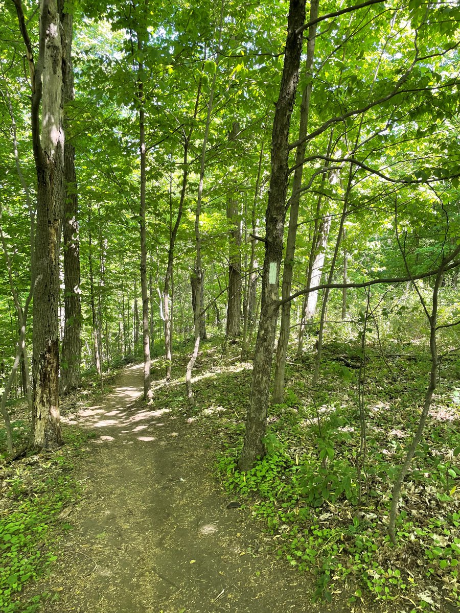 AdventureGuide_'s tweet image. Took a hike with my furry companion at Baden Hills! 🐕🐾 An easy yet amazing hike with @merrelloutside Moab MID Waterproof Footwear. 
.
.
.
#merrellcanada #merrell #badenhills