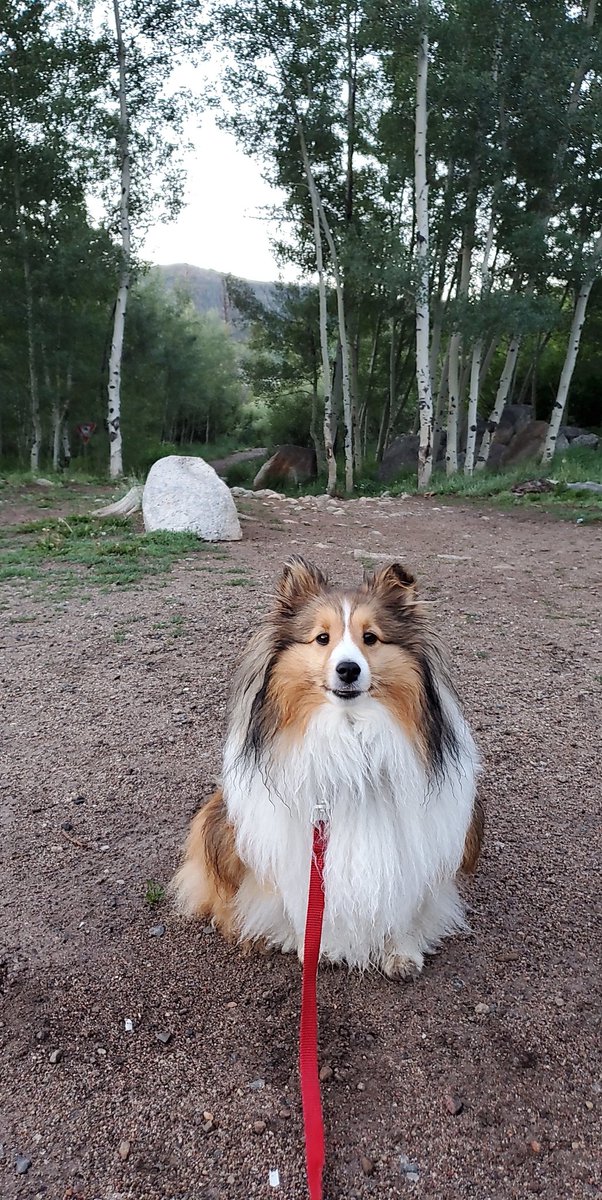 dan_jackson99's tweet photo. Rainbow Lake, Frisco, CO @hike_co https://t.co/3nXFfBle3U