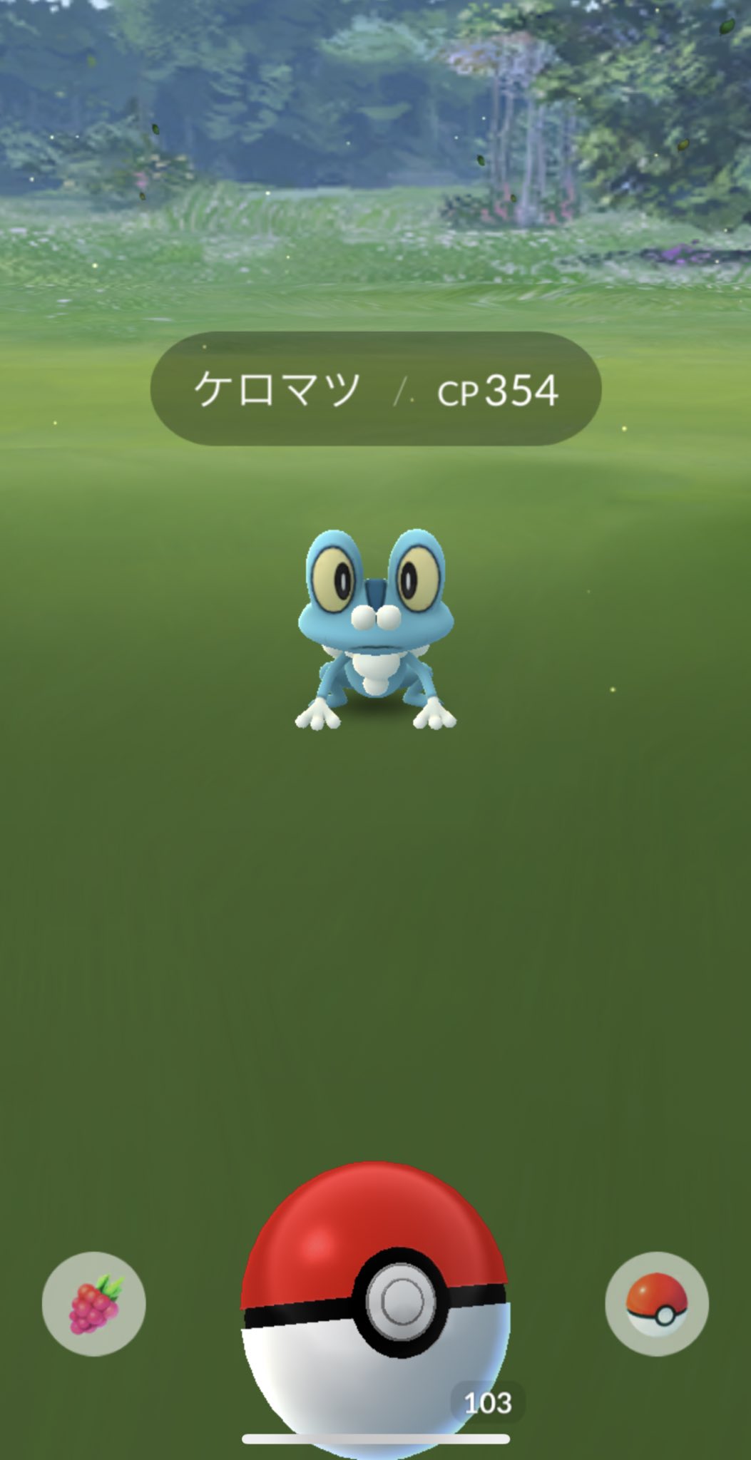 まどジョン キング観光サウザンド生桑店 本日の成果 ケロマツ 2 カメックス 1 でした ケロマツかわいい 4日 日 もイクキンに行こに T Co Bub0rglnpk Twitter
