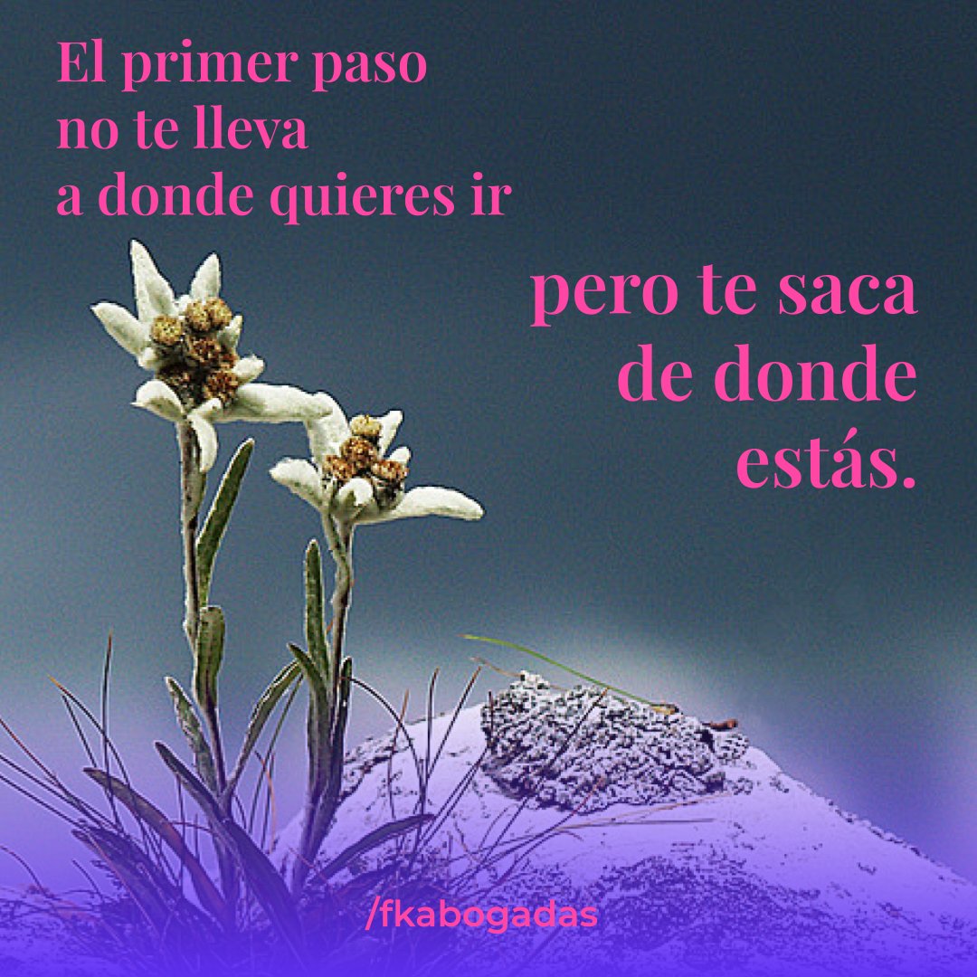 fkabogadas's tweet photo. 🌐 Somos FK Abogadas. Profesionalismo y Confianza.

Visitá nuestra web https://t.co/MHnXAifov4

#frases #pensamientos #reflexiones https://t.co/SVv4lxESHX