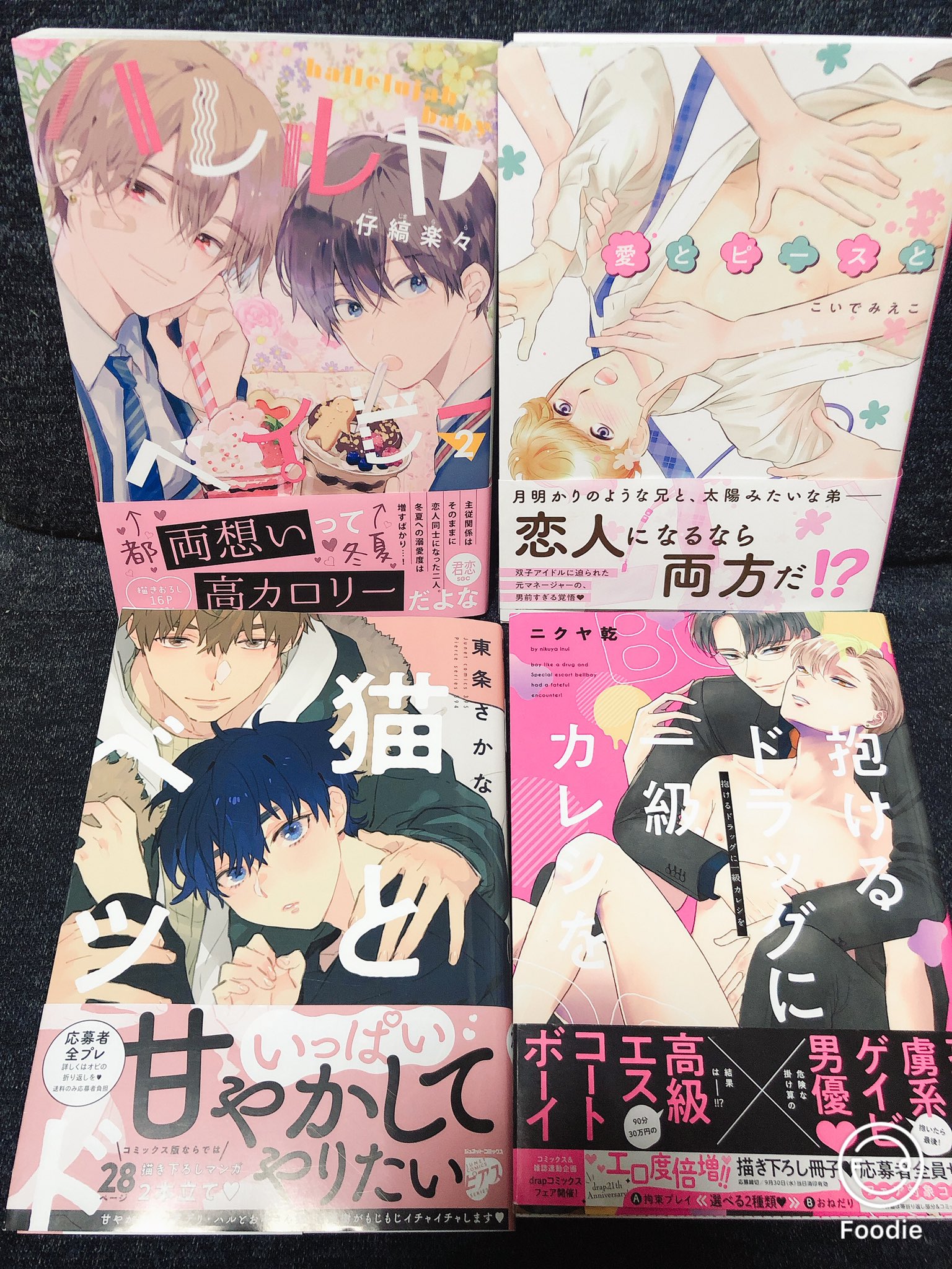 こいでみえこ Twitter Search Twitter