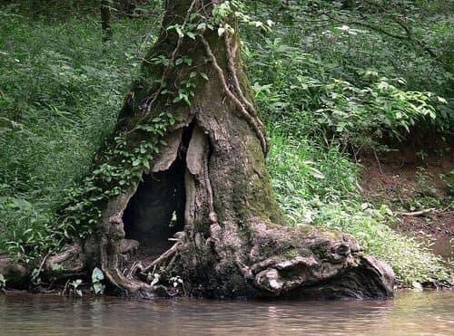 Which one would you make your new home. 
1, 2 or 3?  I choose 1! You?