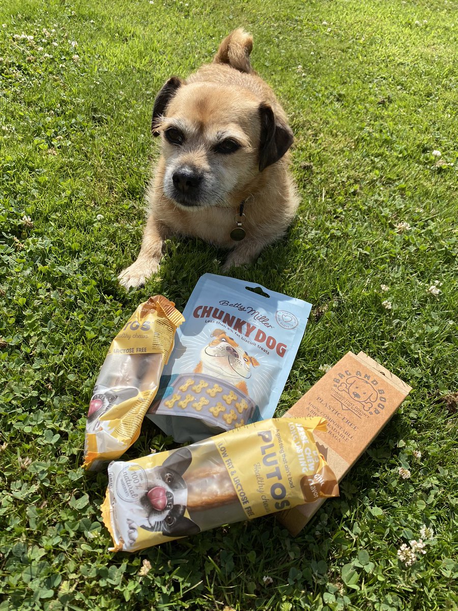 Nose to Trail tweet media