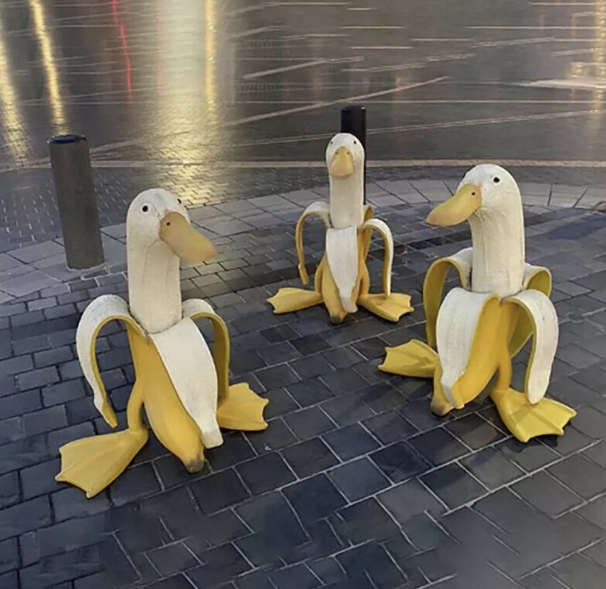 เจอน้องในลาซาด้า งงนิดหน่อยแต่ไม่เข้าใจมากๆ🍌🦢