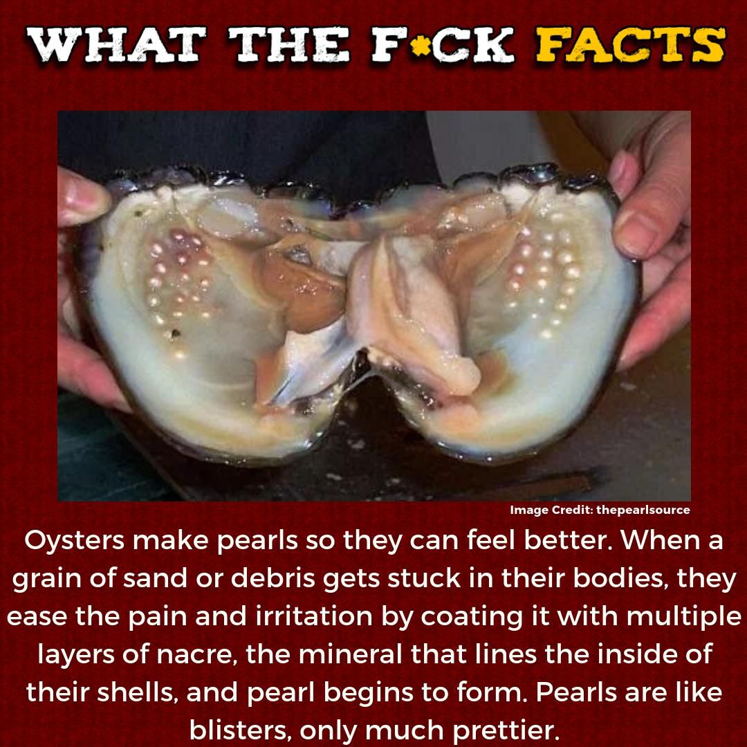 WhatTheFFacts's tweet photo. https://t.co/0TMyD0M9fk