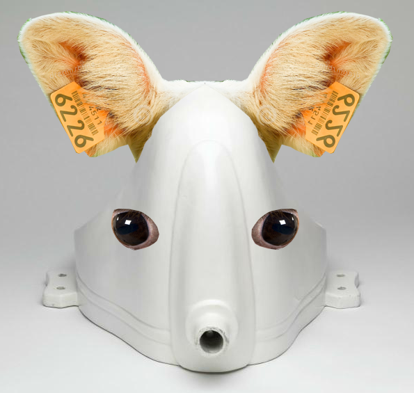 albertinmeunier's tweet image. NFT stands for New Fountain Tuchamp

the back of Fountain is cow-(h)ardly
#NFTs #DataDada forever ! 🚜

superrare.com/artwork-v2/nft…