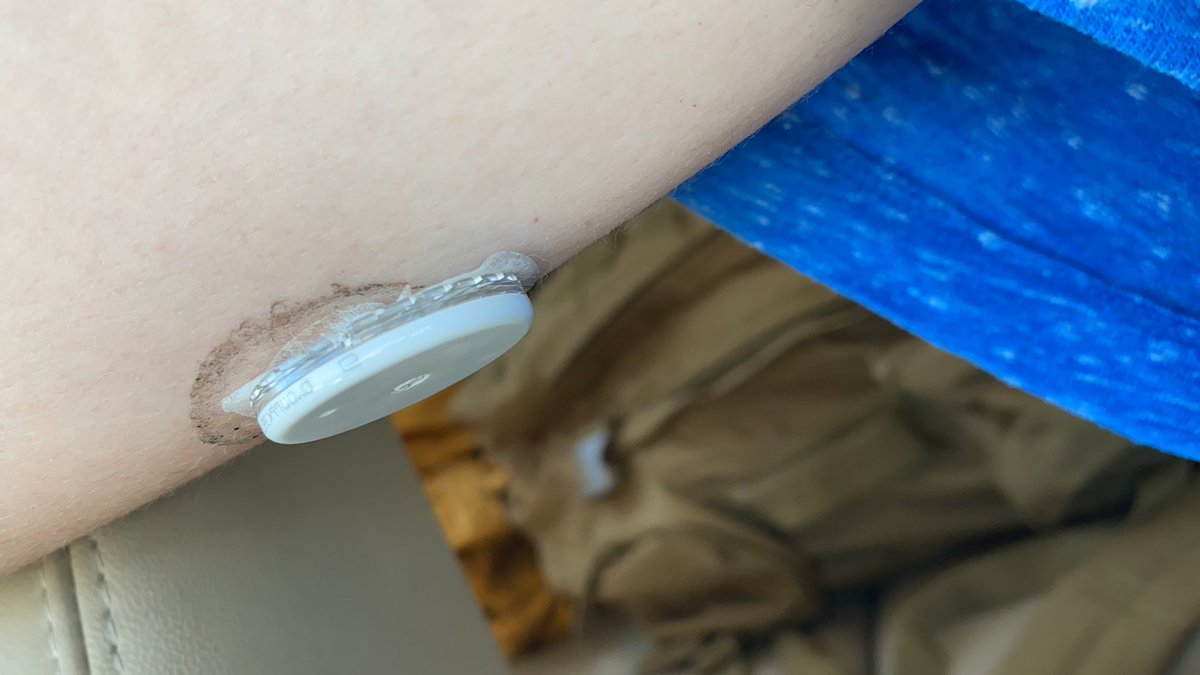 KLICK 🐝 tweet media