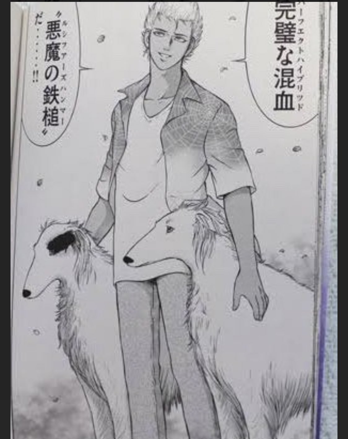 桐生 美希 Kiryu Miki 在 Twitter 上 疾風伝説 特攻の拓 を 読んで 育ったせいでよぅ このタイプの犬を 天羽時貞 の 犬 としか認識できない 大人 になっちまったんだよぅ T Co 5i3t9dyak0 Twitter