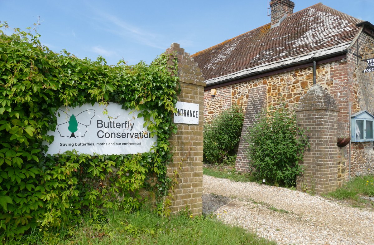 A first for us last week whilst on holiday in Dorset, a visit to the Lulworth area to look for the Lulworth Skipper on Bindon Hill, hopefully correctly identified 🧐 and the obligatory drive past Head Office @missingmass1 @BC_Dorset @martinswarren @NeilFreeman14 @savebutterflies