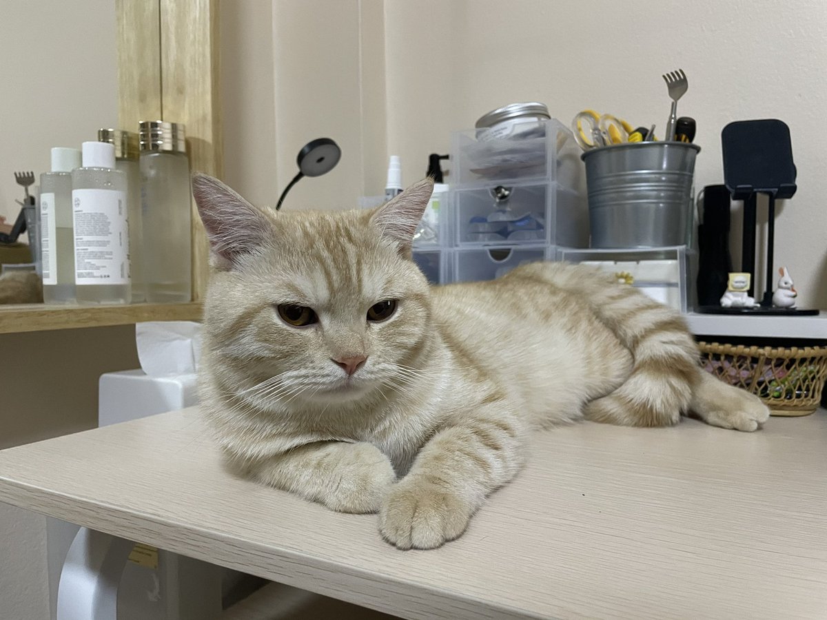 ทำหน้าเหมือนกุบังคับมันมานั่งใกล้ๆอะ กุขอร้องหรอ กุพูดตอนไหน