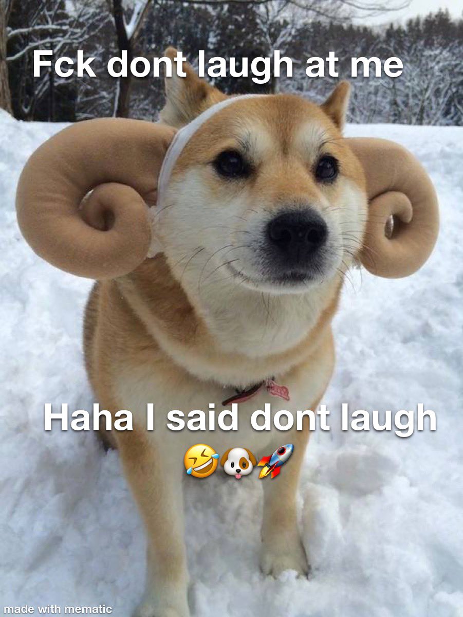 Haha 👊🌍🤪 #doge #dogecoin