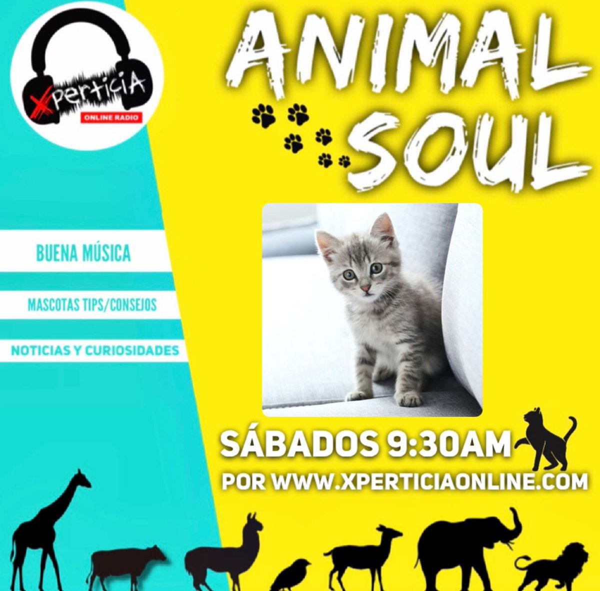XperticiaOnline's tweet photo. 🔵TODOS los SÁBADOS 9:30am (Hora Bolivia) escucha:
“🐾#ANIMALSOUL!✨".
👥Conducido por: Fabiola Larrea y Katherine Farfán.
Solo en: https://t.co/qu4huAu5Zv

#XperticiaOnlineRadio
#MundoAnimal #Animales  #Mascotas https://t.co/cwSNIh5wHE