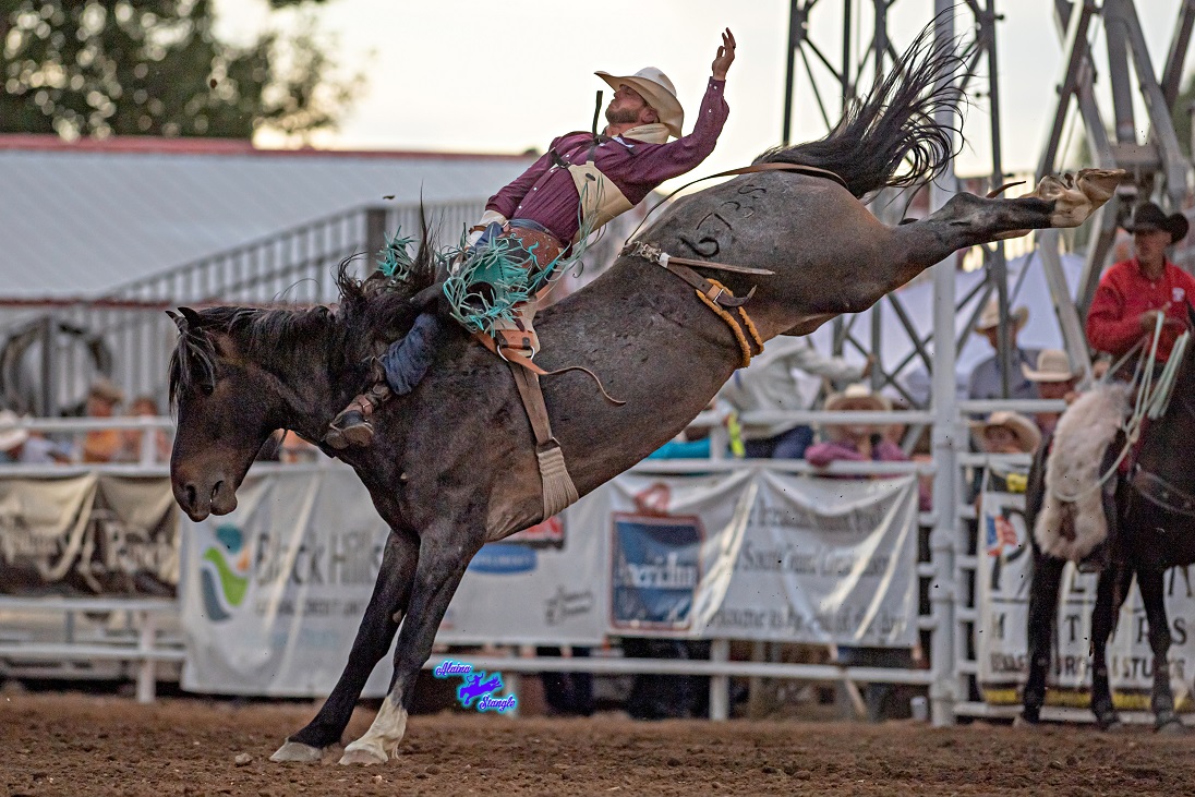 Bareback riding leaders: 1. (tie) Clayton Biglow, on Powder River Rodeo's Dirty Temptation, and R.C. Landingham, on Powder River Rodeo's Blue Collar

Alaina Stangle Photography