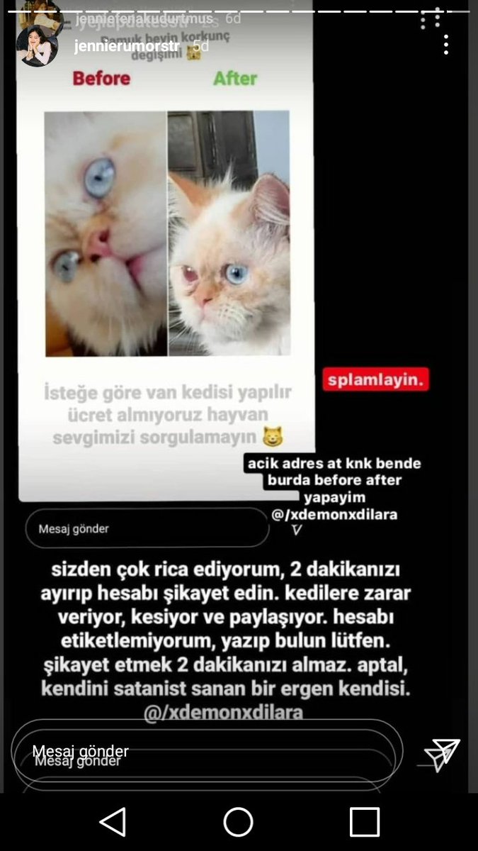 acelisaqueen's tweet image. Yayar mısınız kedilere eziyet ediyo