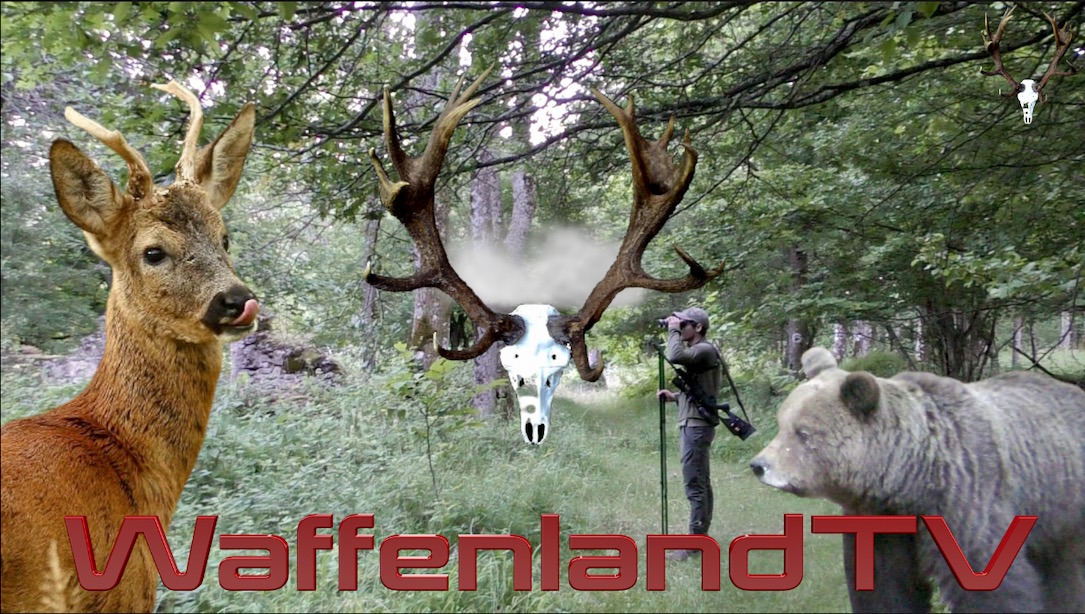 New YouTube video is online🐻🐗🦌!
youtube.com/watch?v=CHWiAL…