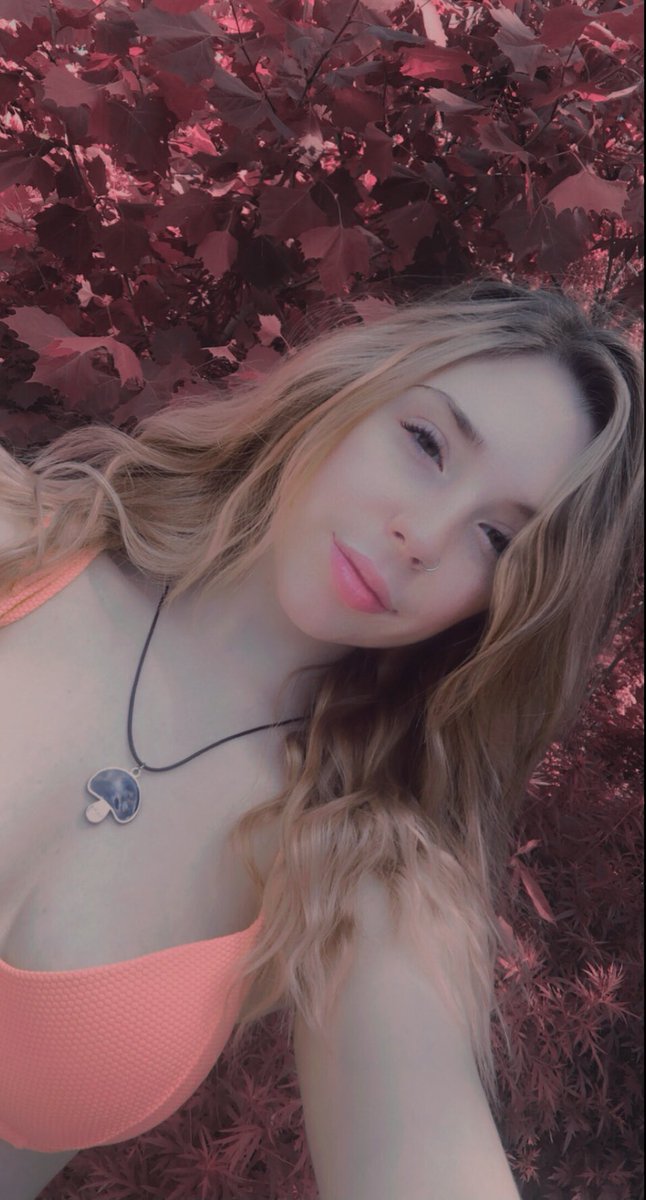 ⋆ ˚｡⋆୨୧˚ kailey jean ˚୨୧⋆｡˚ ⋆ (@kxileyjean) on Twitter photo 