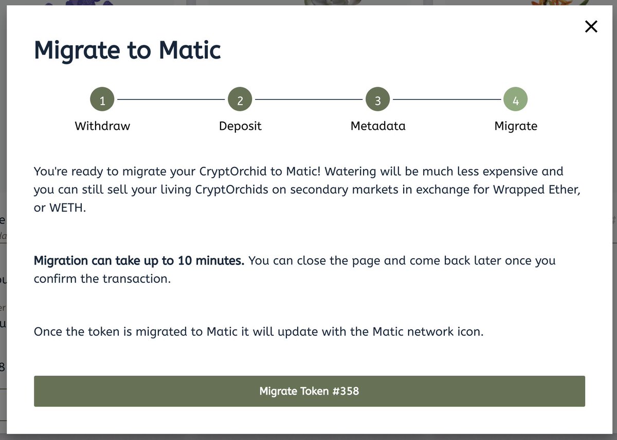 CryptOrchids tweet media
