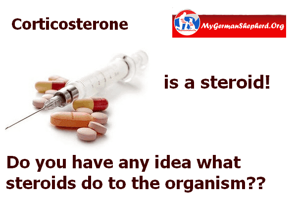 mygsdorg's tweet photo. #Corticosterone is a #steroid! => https://t.co/NjB6Kz0urU https://t.co/eCFPWwQa71