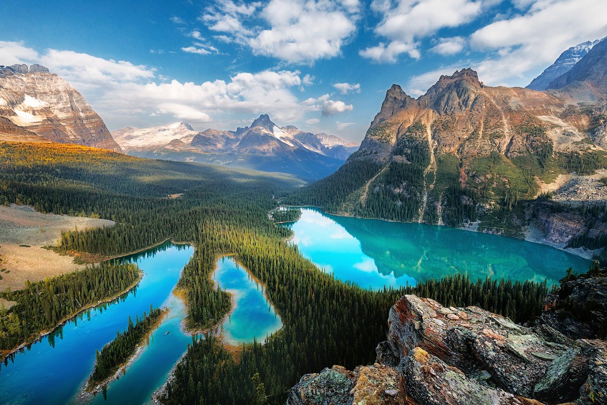LoveSongs4Peace's tweet image. Lake O'Hara in Yoho National Park, British Columbia, Canada ๐จ๐ฆ