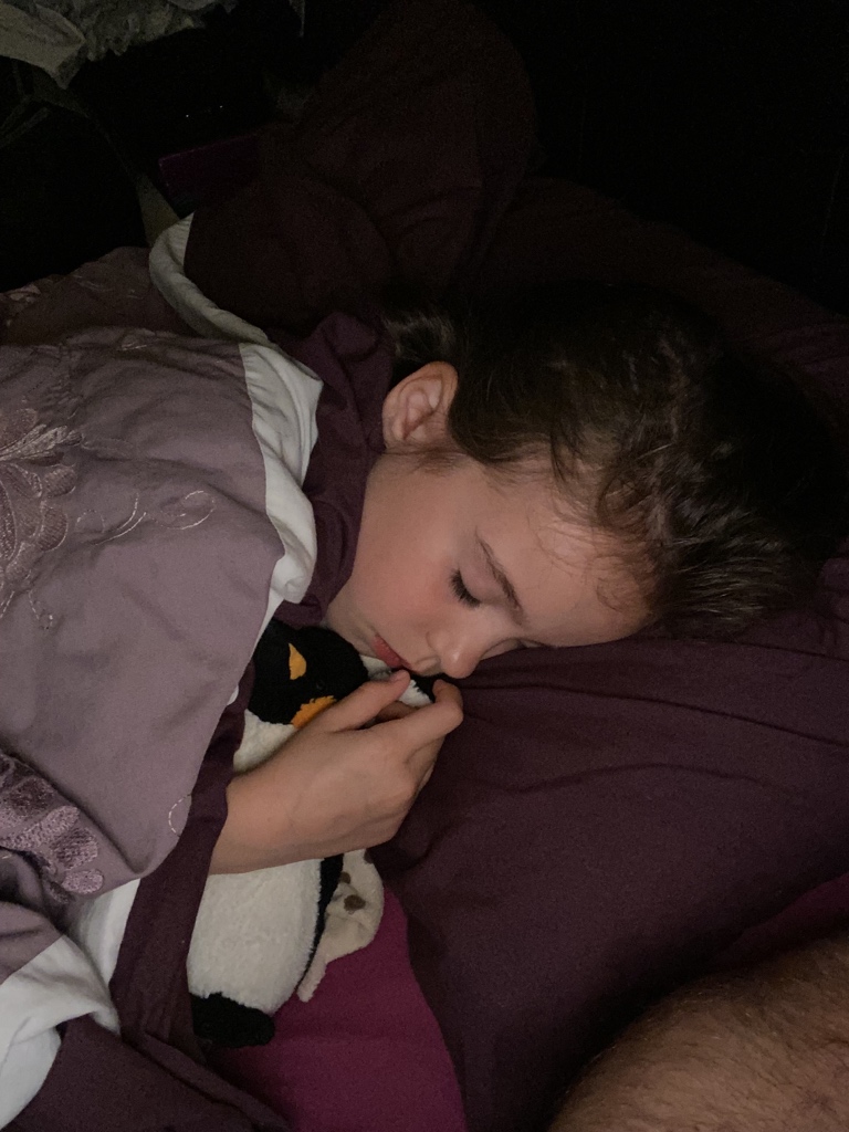 AnSMCSLife's tweet photo. I had a wonderful evening at my Nanny S’s, watching football and having fun! 

Then I got overtired and didn’t feel well. Luckily, Mummy, Daddy and my big brother Josh were there to help me.

I’m now safe in Mummy &amp; Daddy’s bed, dreaming of wonderful things ❤️ https://t.co/LSIsInKJoq