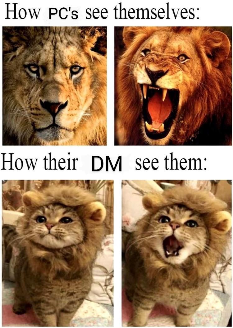 MemesDnd's tweet photo. And I love them for it
⚔️🤣
from: forlorn_bandersnatch
#dnd  #rpg  #5e  #charactersheet  #wizardsofthecoast #follow  #druid https://t.co/befjDhFwiG