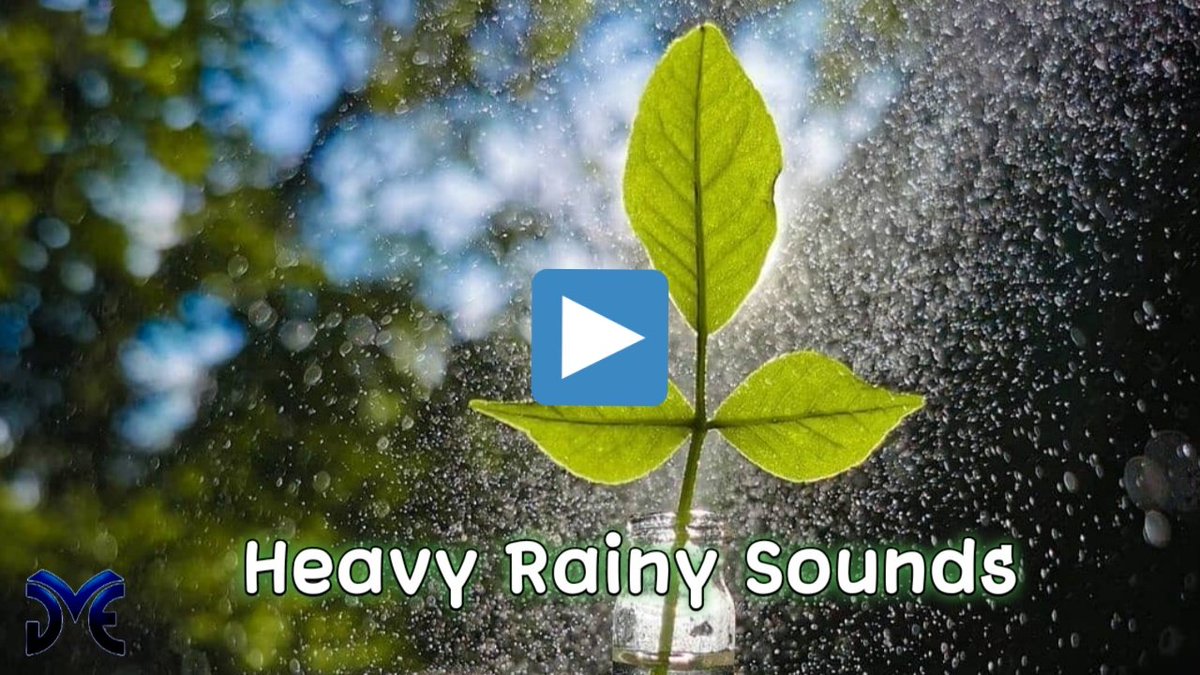 DreamMusicEver1's tweet photo. 4hr Heavy Rain sound for fall asleep | Natural House Outside Rainy Sounds | Dream Music Ever
#RainyDay  #rainysounds #natural #raindrops #sleepy #dreammusicever

https://t.co/iJZb5SreNE https://t.co/oE74Jx7tbB