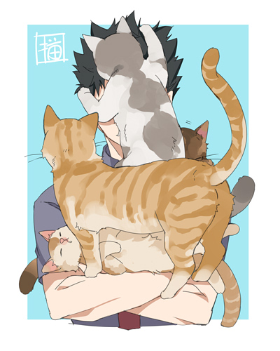 「cat on head」 illustration images(Latest｜RT&Fav:50)｜5pages