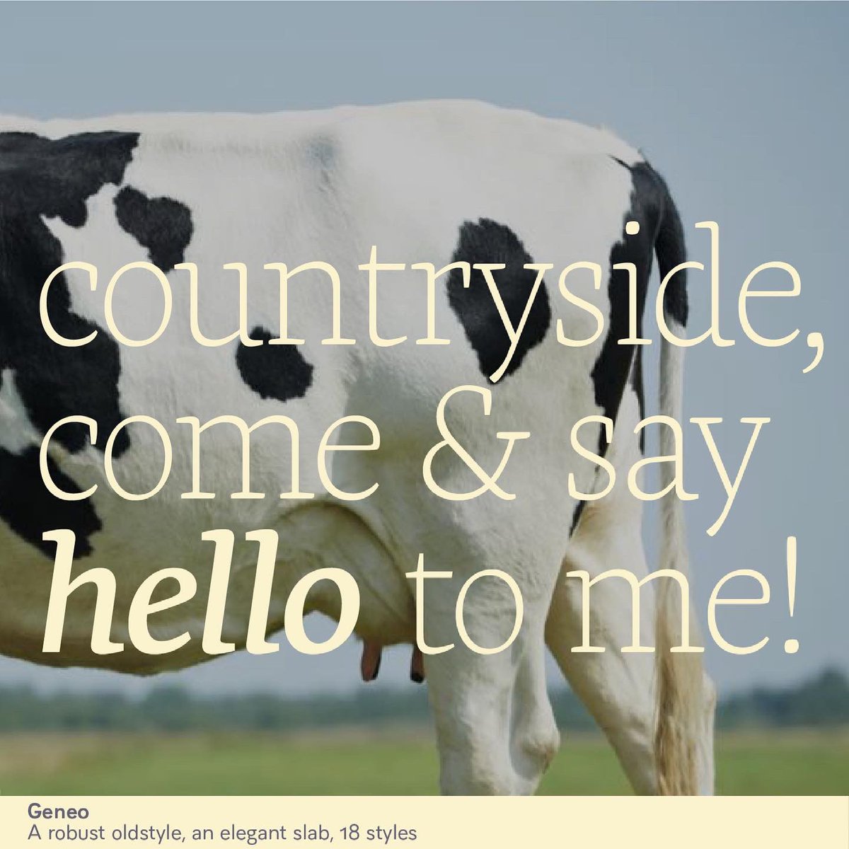typofonderie's tweet photo. C’est fantastique! La vache. Another good excuse to try Geneo by @stephaneelbaz who will conduct a @typeparis #tpworkshop tomorrow in Paris at @letankparis https://t.co/lMRsKG0BCQ