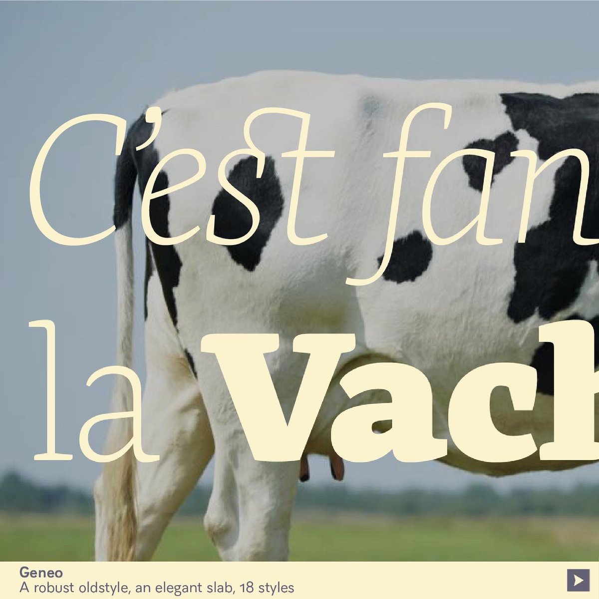 typofonderie's tweet photo. C’est fantastique! La vache. Another good excuse to try Geneo by @stephaneelbaz who will conduct a @typeparis #tpworkshop tomorrow in Paris at @letankparis https://t.co/lMRsKG0BCQ