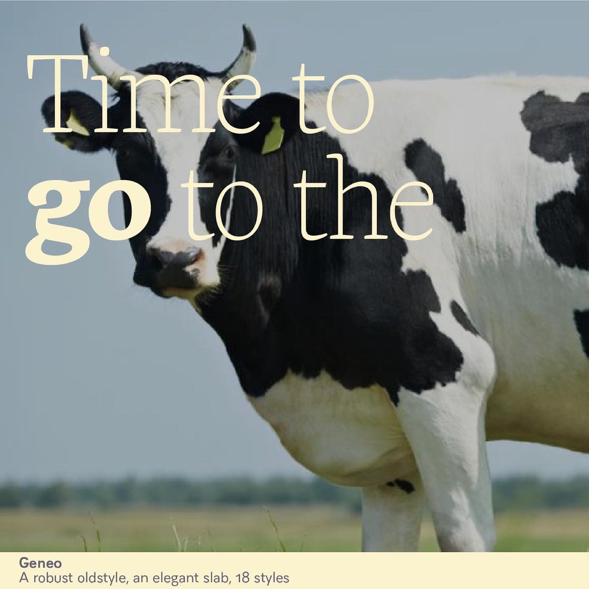 typofonderie's tweet photo. C’est fantastique! La vache. Another good excuse to try Geneo by @stephaneelbaz who will conduct a @typeparis #tpworkshop tomorrow in Paris at @letankparis https://t.co/lMRsKG0BCQ