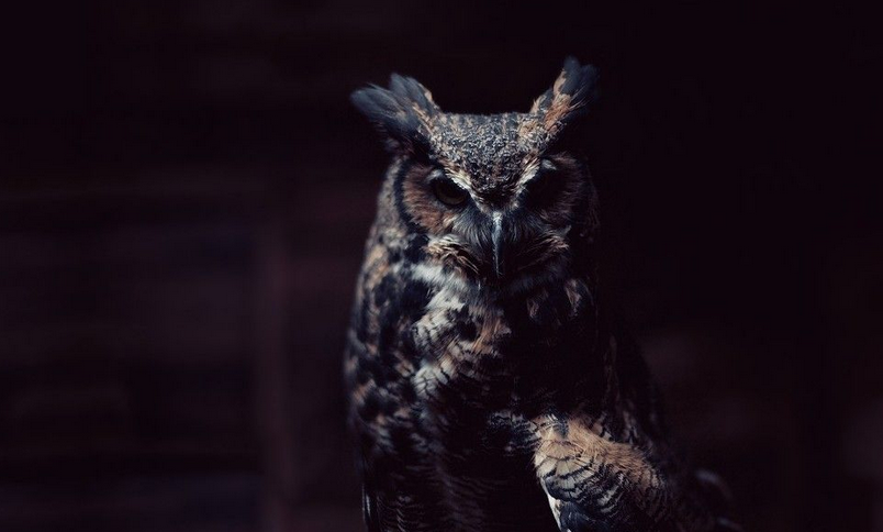 Hello! I've started a new Blog. It'll have weekly installments. With the ever changing movements of the creative landscape of our world, I felt it was the right time to share more about my inner workings between events.
deborahantoinette.org/blog