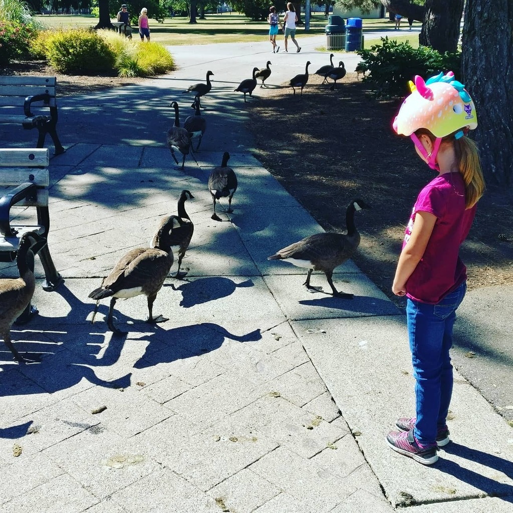 Another great Saturday biking with animal distractions.