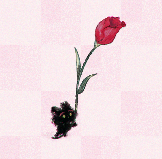 「红玫瑰 シンプルな背景」のTwitter画像/イラスト(人気順)
