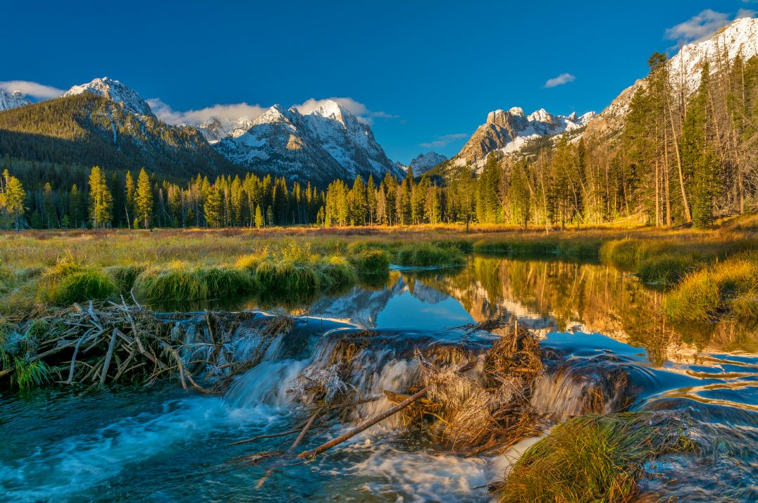 AdaDemocrats's tweet photo. Happy Idaho Statehood Day! We really are lucky to live in such a beautiful place. #idahome #idpol https://t.co/X5MctMmJYm