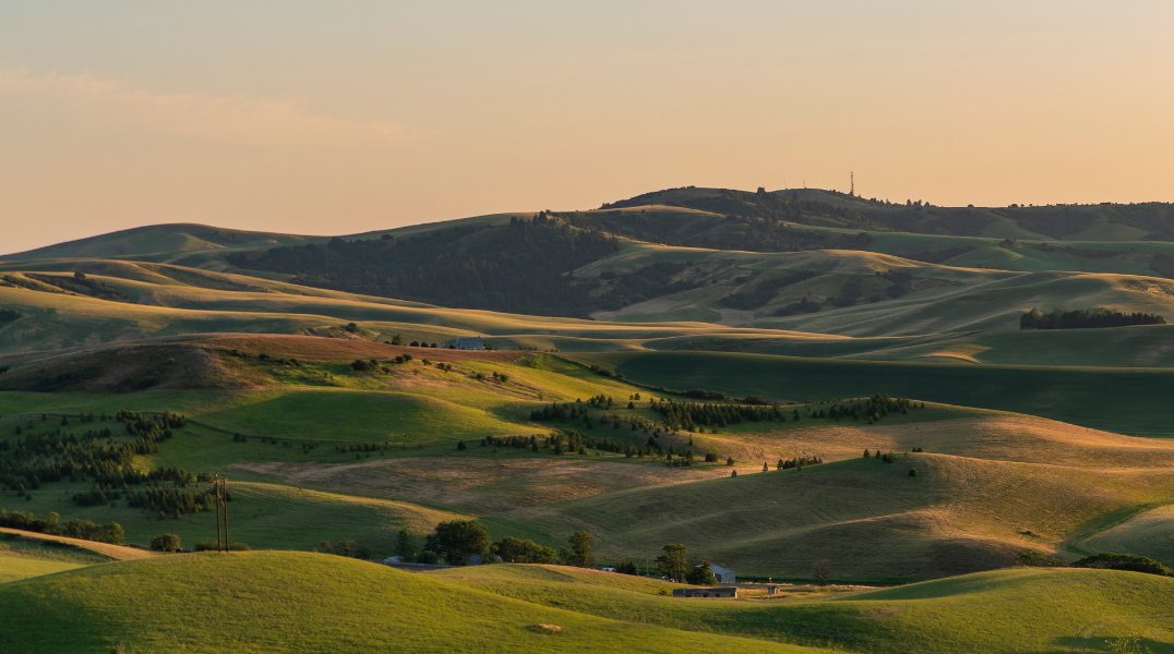 AdaDemocrats's tweet photo. Happy Idaho Statehood Day! We really are lucky to live in such a beautiful place. #idahome #idpol https://t.co/X5MctMmJYm