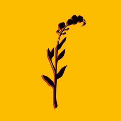 BBCIntroYork's tweet image. KICKING OFF THE SHOW with @SerotonesUK - 'This Won't Last Forever' which officially came out yesterday! 🔥🔥
Listen now > bbc.in/2ToEyL3