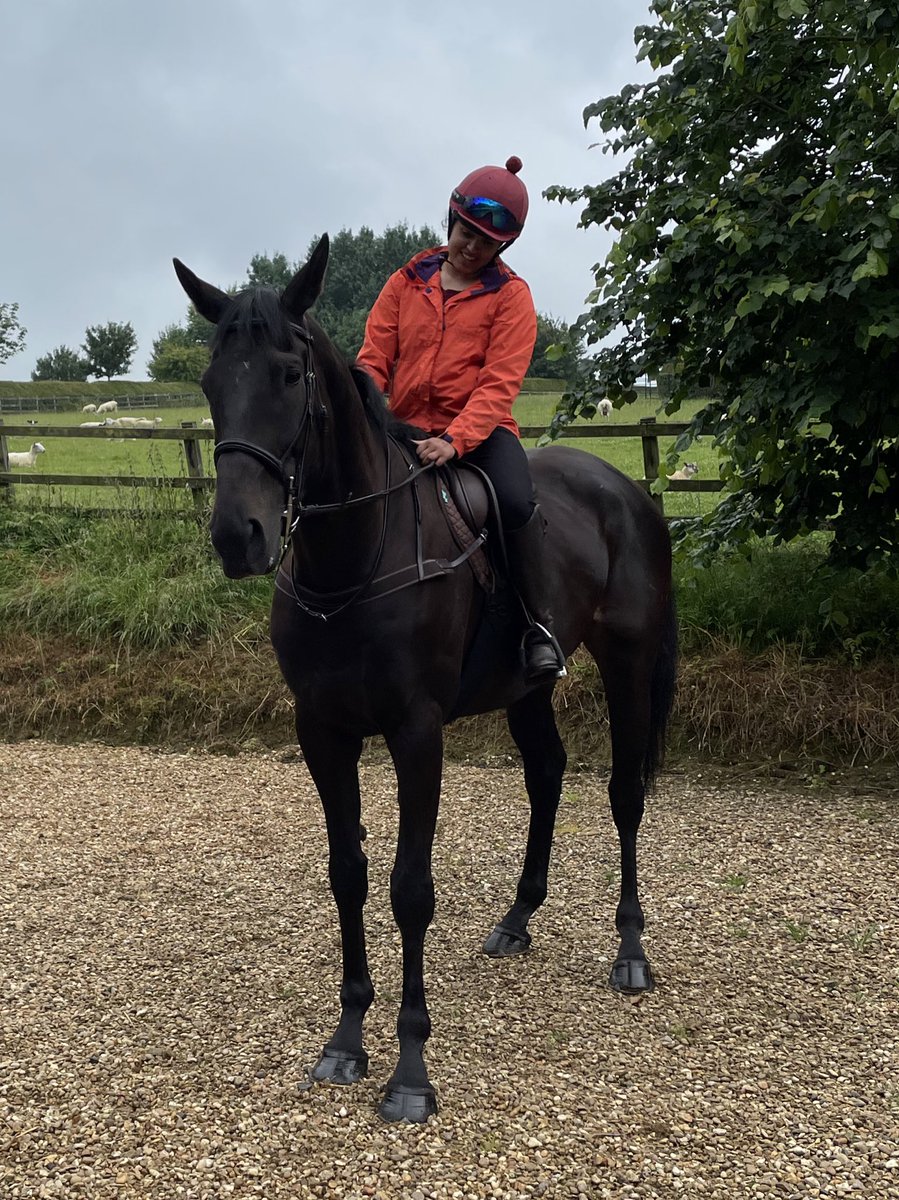 ifandbutwhynot's tweet photo. cool to see this big lad again today almost a year later ☺️ #balmuick #bigbarry https://t.co/frG2g7wx2P