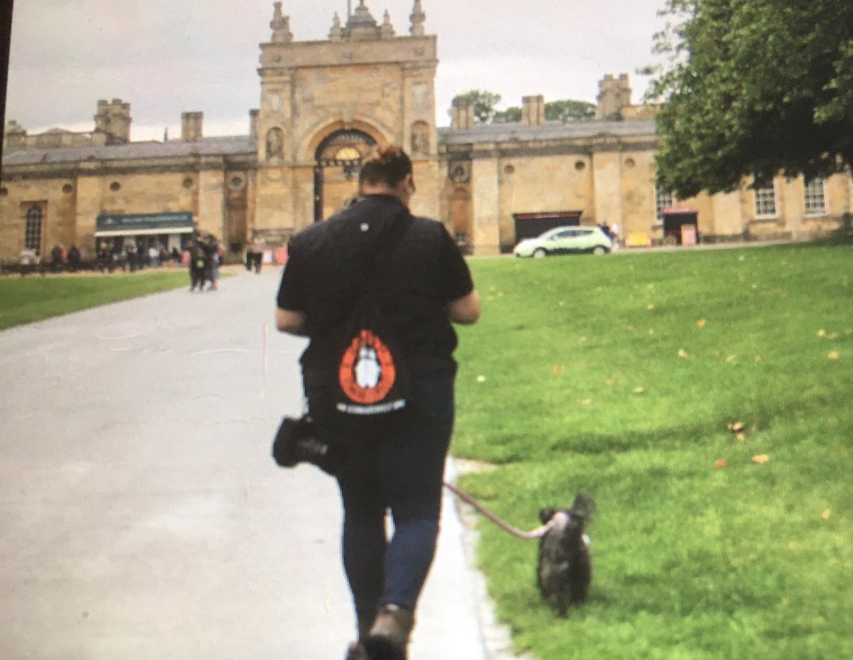 veraportvera's tweet photo. My daughter &amp; her mini schnauzer promoting  @SchnauzerfestUK whilst @BlenheimPalace for @Allaboutdogssho https://t.co/5mr9IueA9D