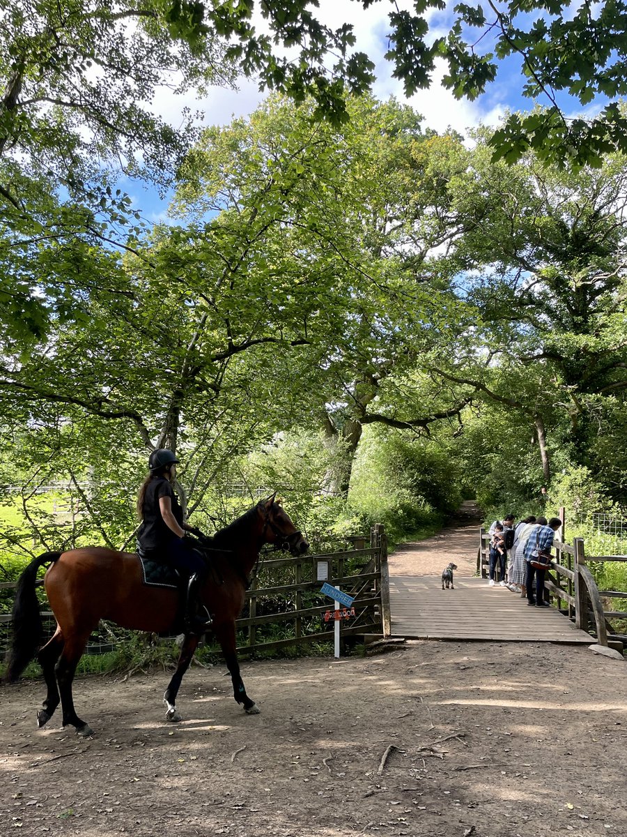 BerkeleySqB's tweet photo. We had afternoon tea at Pooh Corner today βοΈπ§Έ then strolled to Poohsticks Bridge πβοΈ @PoohCornerUK #hartfield #poohcorner #eastsussex #winniethepooh #poohbridge #poohsticksbridge @VisitEngland https://t.co/9s8d9nEkmf